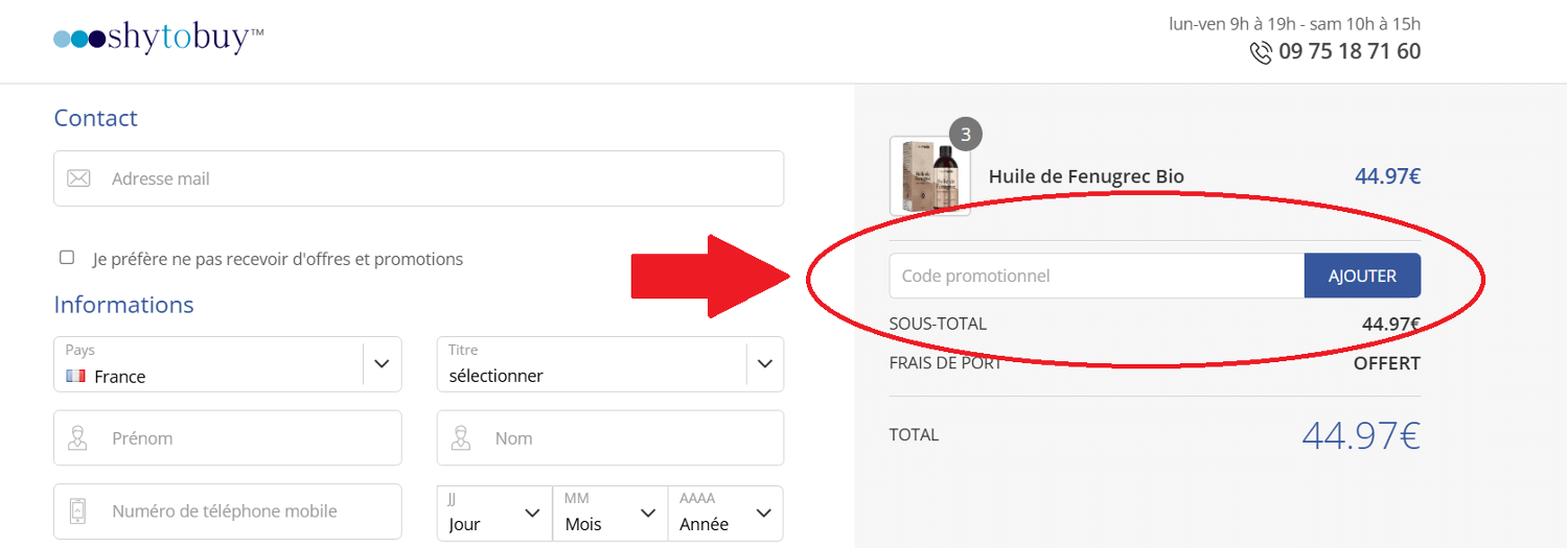panier d&apos;achat avec emplacement pour code promo ShyToBuy