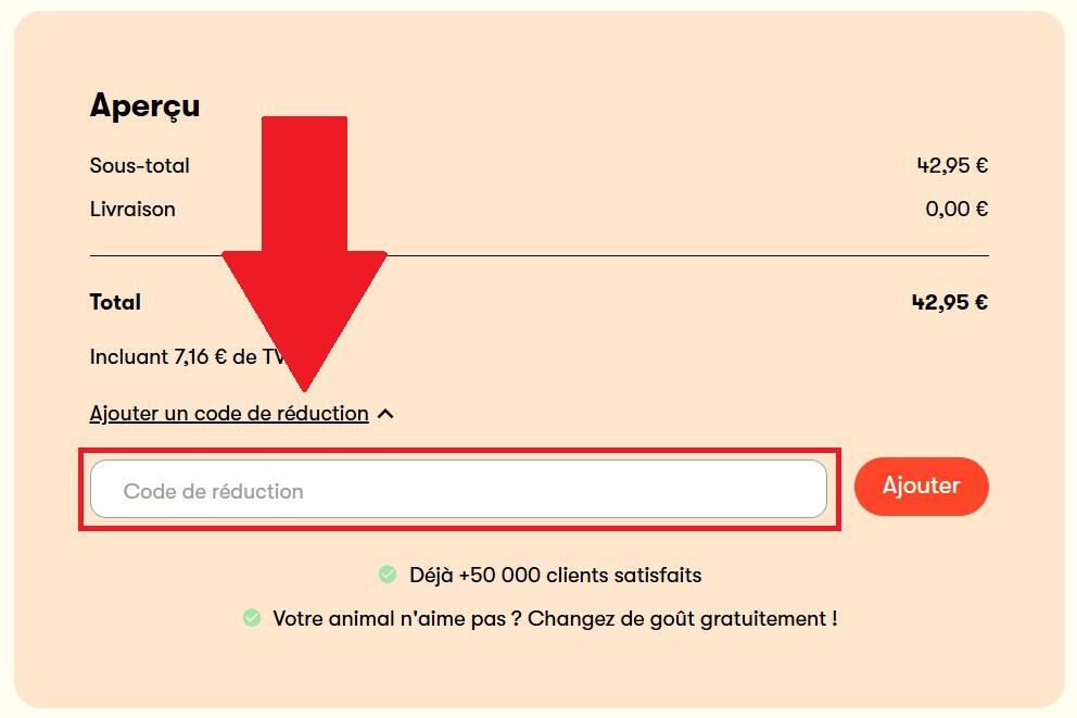 Encadré pour codes promo Just Russel sur un abonnement