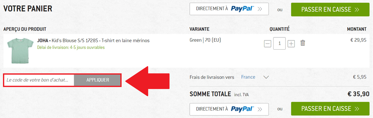 Panier de commande avec encadré pour code promo Alpiniste.fr