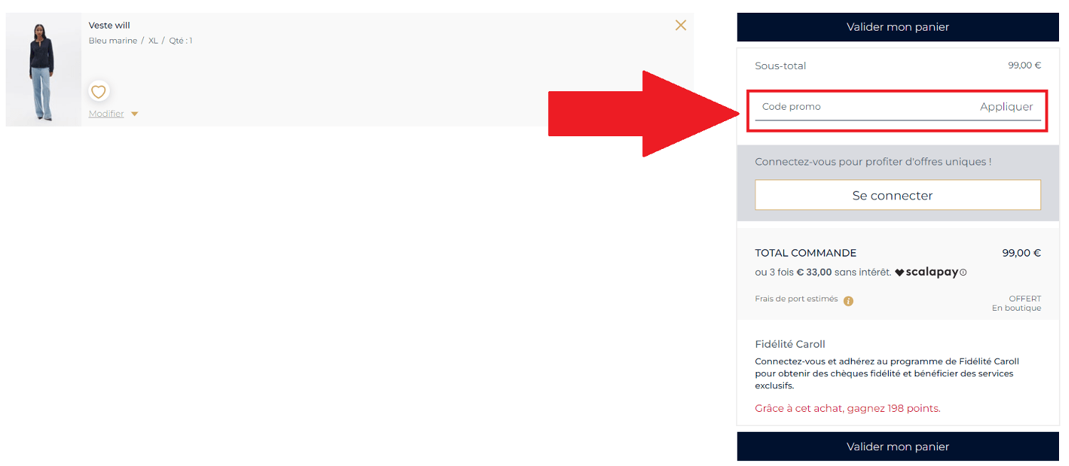 Encadré pour code promo Caroll dans le panier en ligne