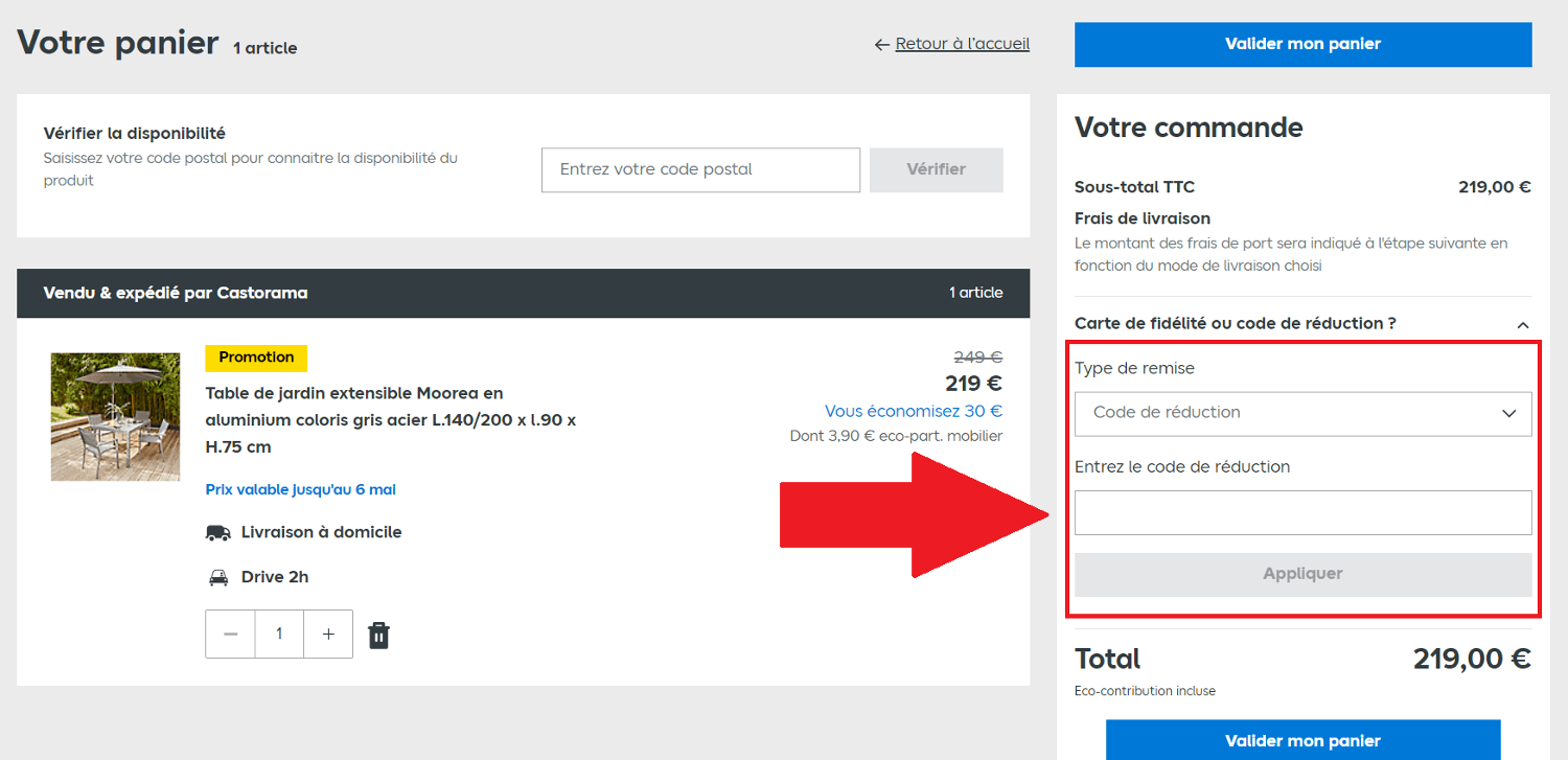 Encadré pour code promo Castorama