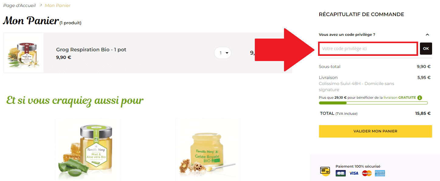 Panier de commande avec encadré pour un code promo Famille Mary