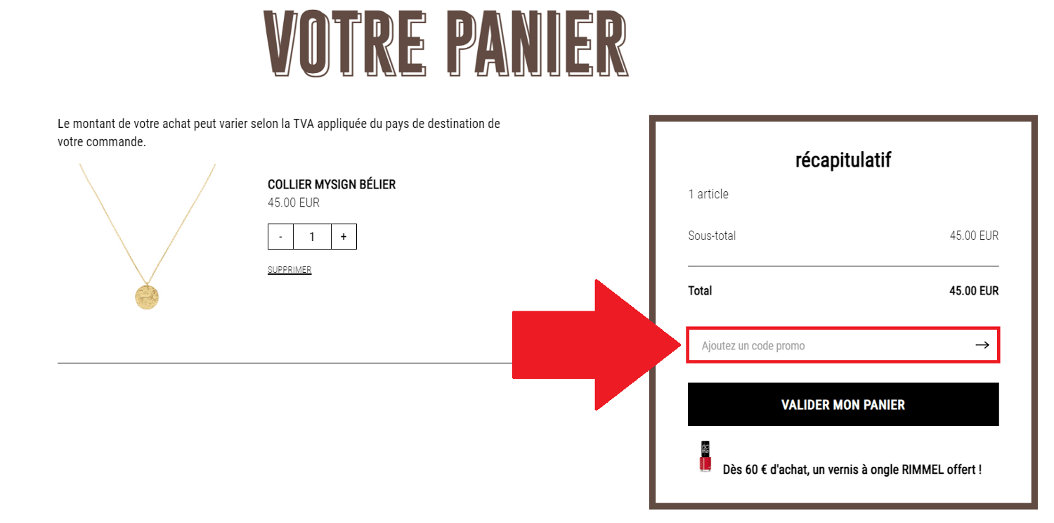 Encadré pour code promo Hipanema dans le panier en ligne