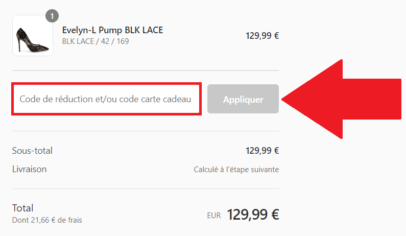 Panier de commande avec encadré pour code promo Steve Madden