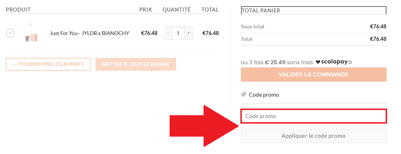 Encadré pour code promo Jylor