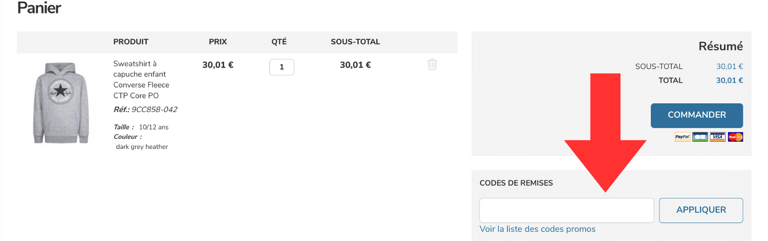 Encadré pour code promo Sneakin