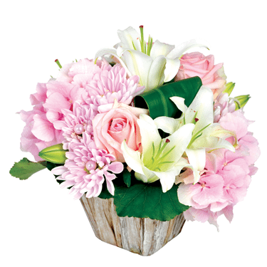 Composition florale blanche et rose dans un pot en bois sur fond blanc