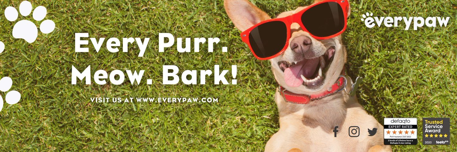 everypaw Discount Code 9 Vouchers in November 2023