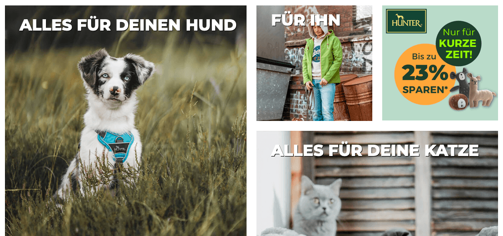 Großes Sortiment für Hunde und Katzen bei Fellby im Online-Shop