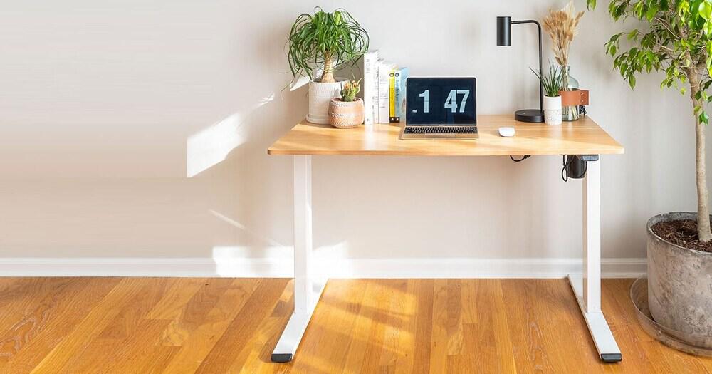 Banner der FlexiSpot Gutscheinseite: FlexiSpot Schreibtisch mit Laptop, Pflanzen, Lich und Büchern auf der Tischplatte