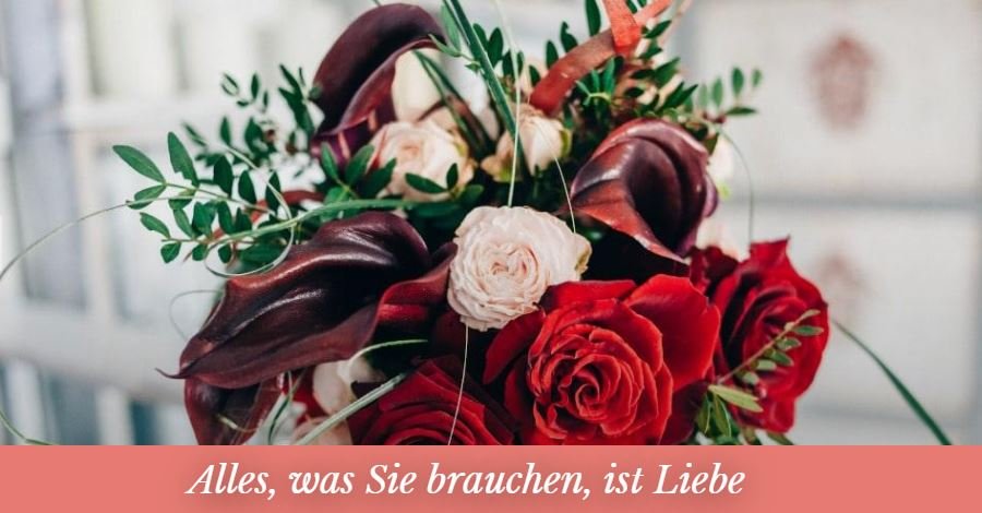 Screenshot der FloraQueen-Webseite