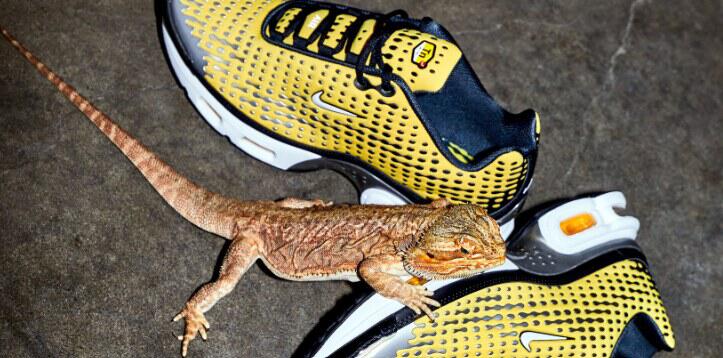 Foot Locker deals page image featuring a pair of branded yellow trainers with a lizard on them