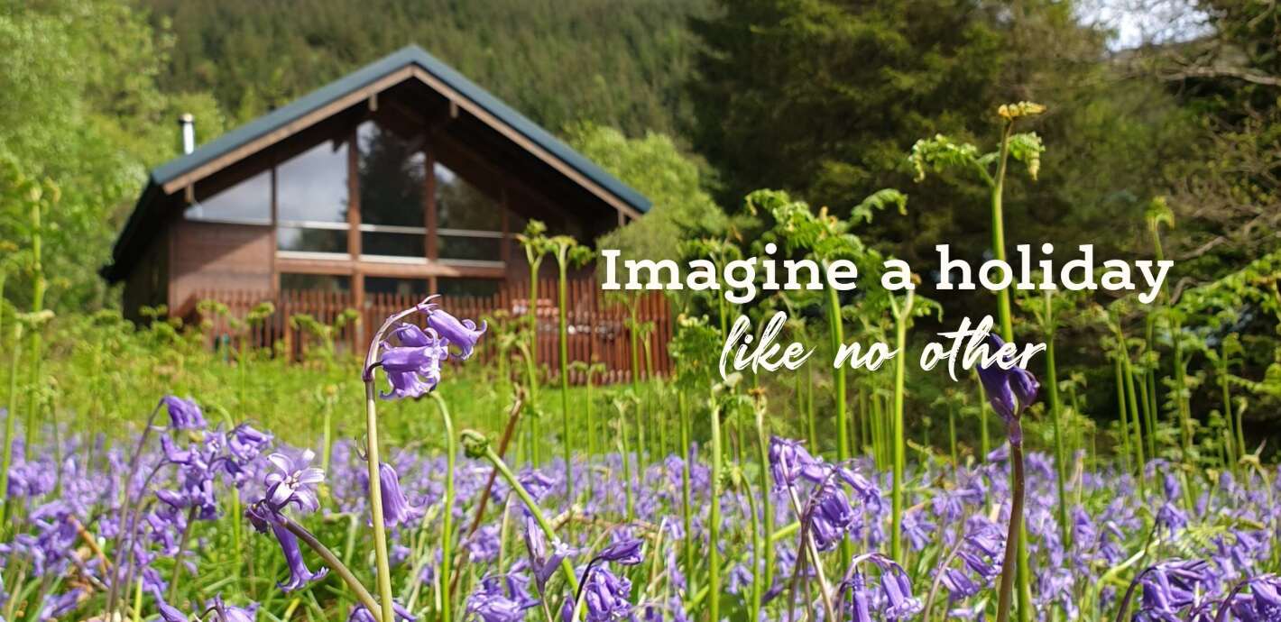 Forest Holidays offers banner showing a cabin surrounded by greenery and flowers. The text says &apos;imagine a holiday like no other&apos;