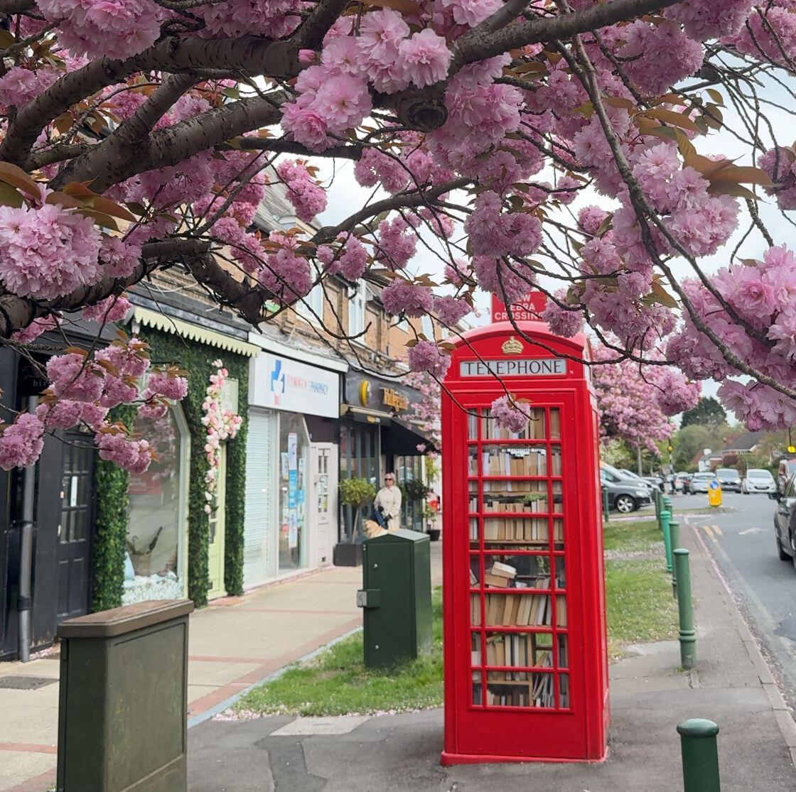 free-book-postbox.jpeg