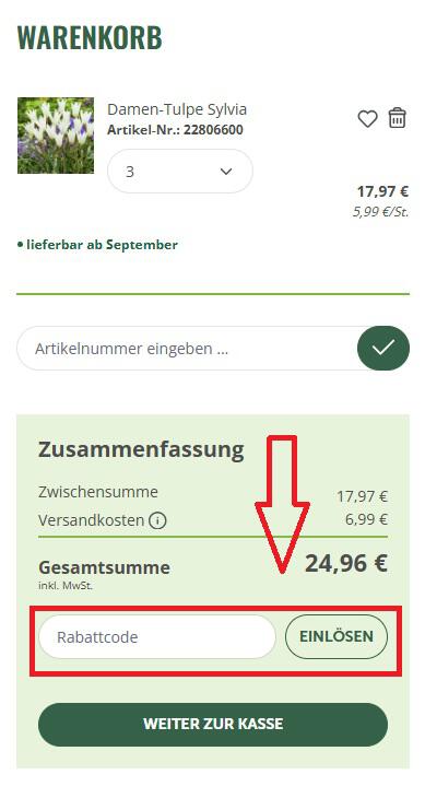 Screenshot von der Startseite wo du deinen Gärtner Harry Gutschein einzugeben kannst