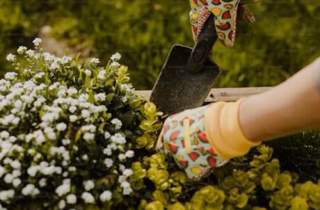 gardening-spade-spring-time