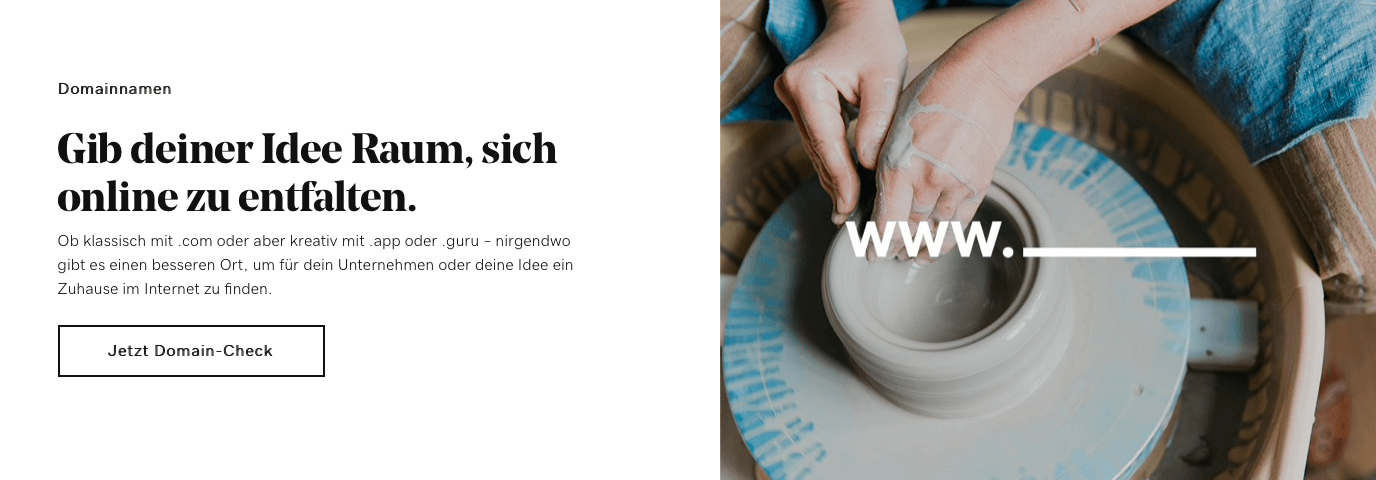 Go Daddy Online-Shop mit einfachem Domain-Check
