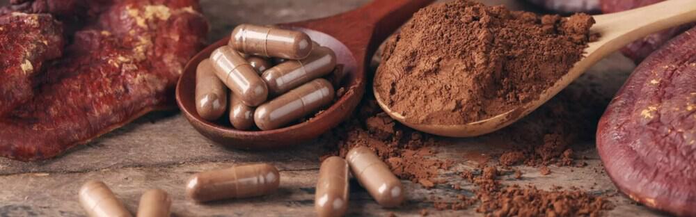 Reishi Vitalpilz-Kapseln aus dem HAWLIK Online-Shop