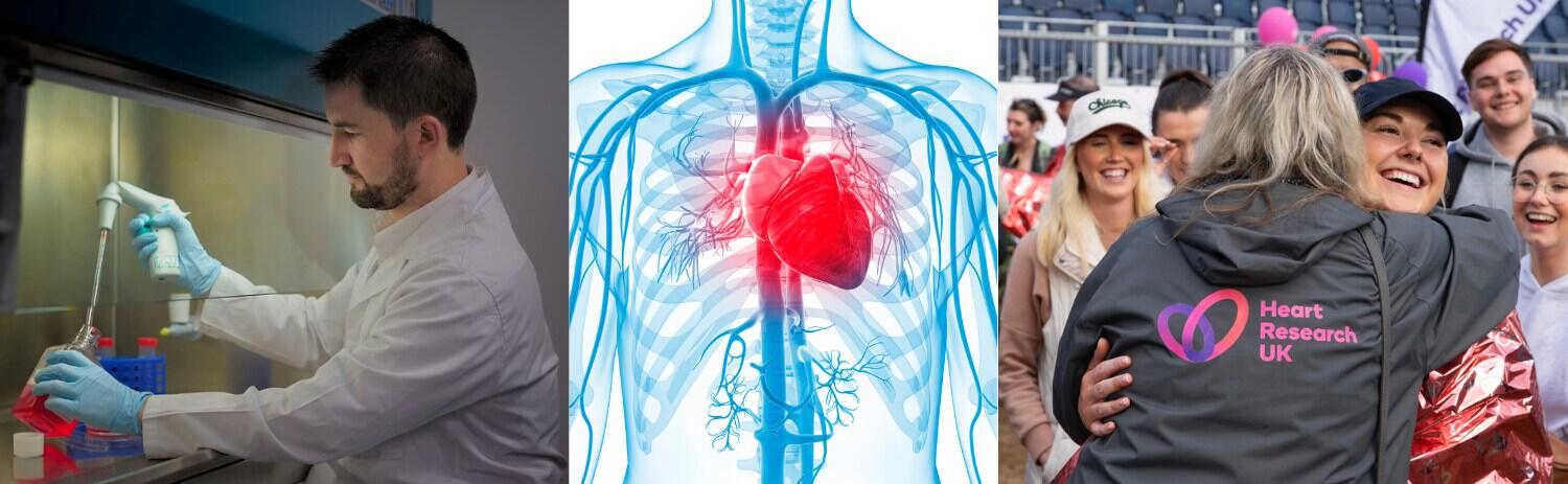 Heart Research UK charity image showing three different pictures. From left to right, a scientist in a lab environment, a graphic showing a red heart inside of ribcage and a woman wearing a charity logo jacket hugging another supporter