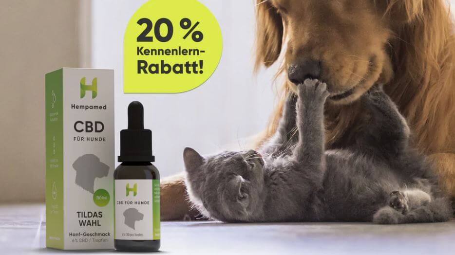 Foto von CBD Öl für Hunde mit Hund und Katze im Hintergrund und Hinweis auf den 20 % Hempamed Gutschein als Kennenlernrabatt