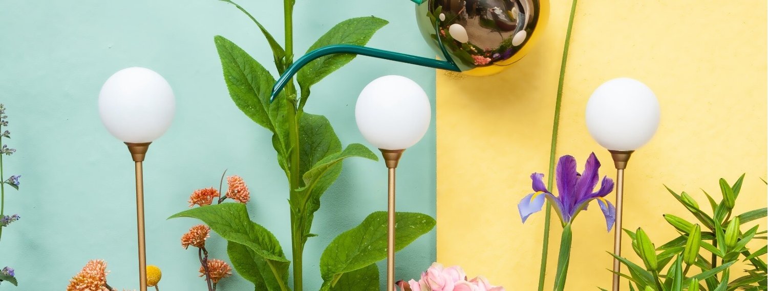 Outdoor lighting - plants and garden ground lights from Houseof