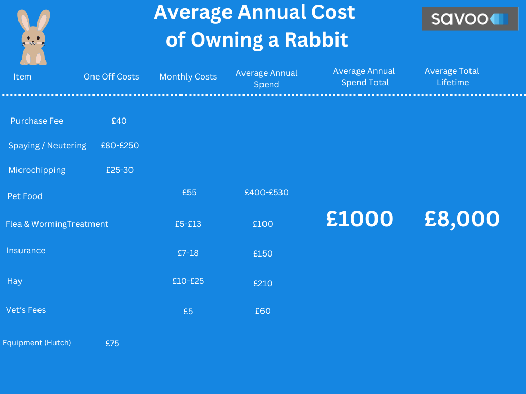 how much does it cost to own a rabbit updated 