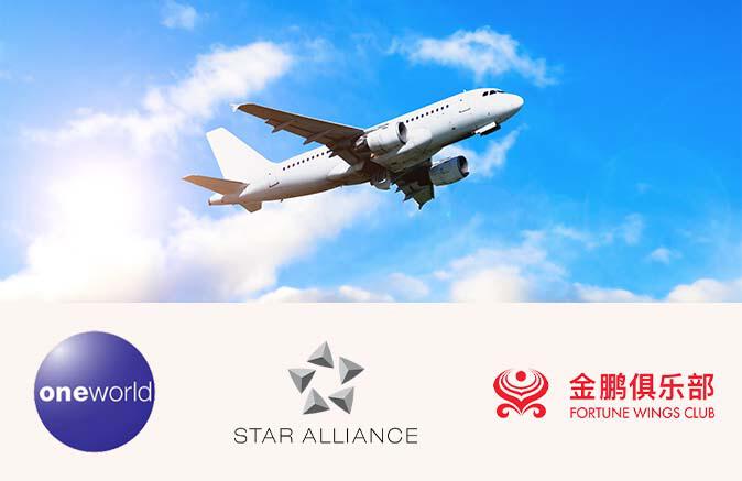 plane with major airline group logos