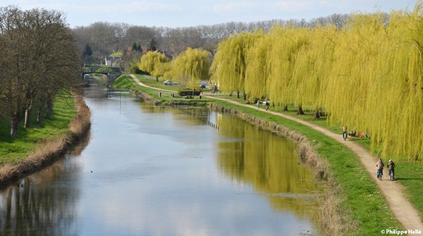 Rivière et chemin de marche