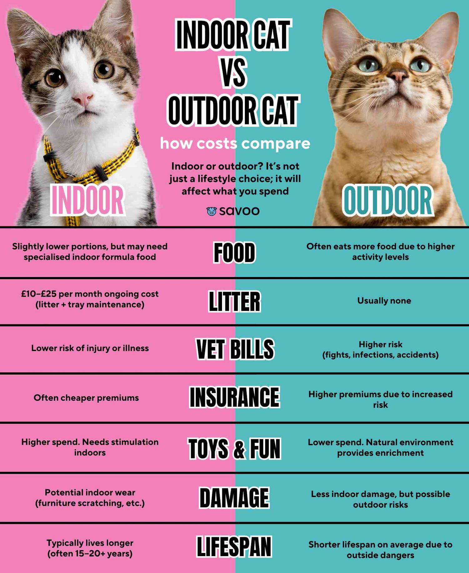Indoor cat vs outdoor cat infographic revealing which moggy is better for you budget. Topics include insurance, food, and vet bills.