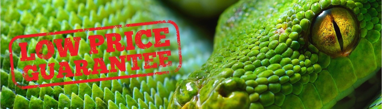Close up photo of a green snake. Text reads: Low price guarantee.