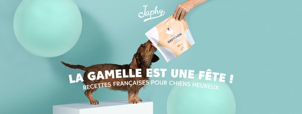 Banière Facebook Japhy