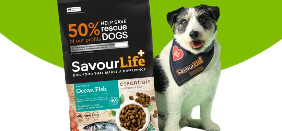 jumbopets deals page banner featuring a cute dog sat next to same sized bag of SavourLife dog food