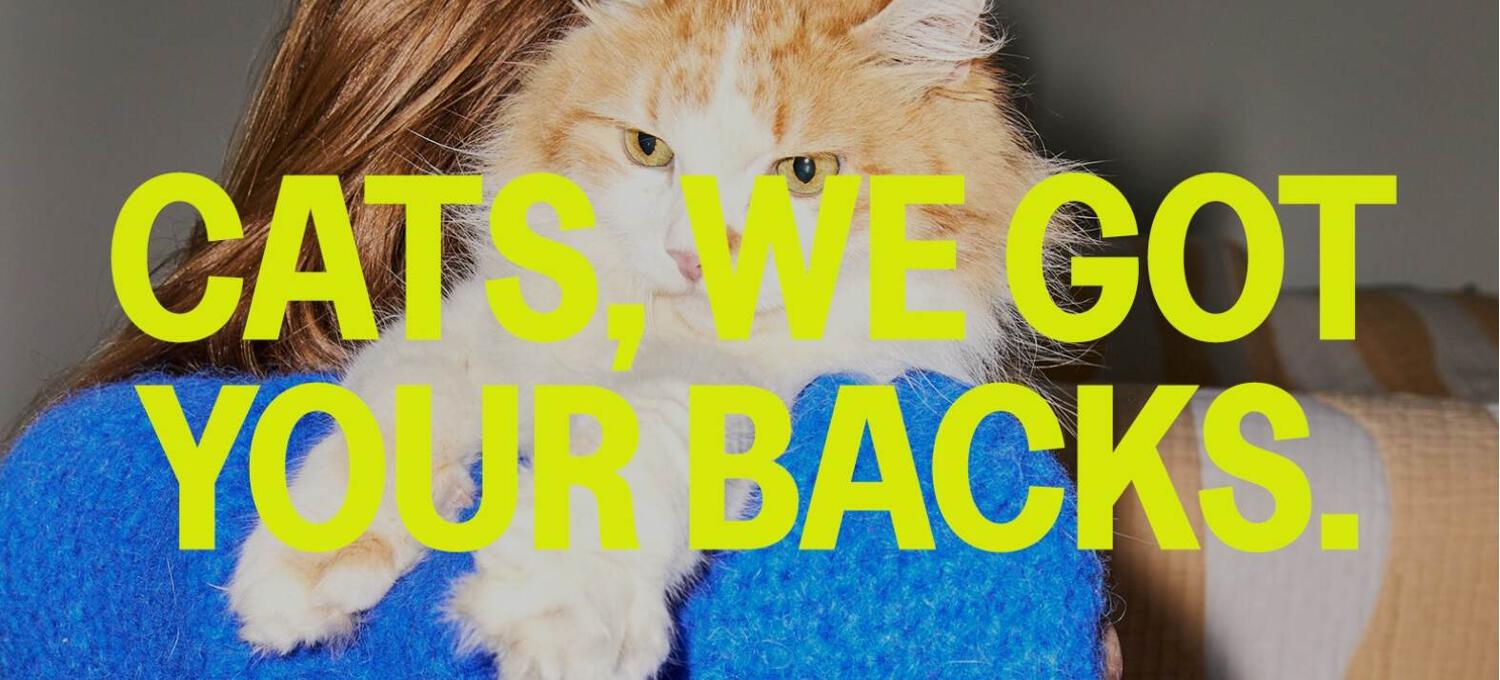 Katkin discount page banner. Image shows a cat in a womans arms, with the text cats, we got your backs