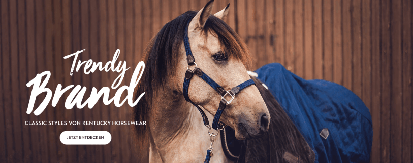 Trends im Online-Shop von Kavalio