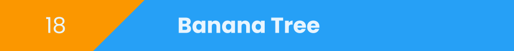 Title banner: Banana Tree