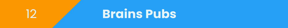 Title banner: Brains Pubs