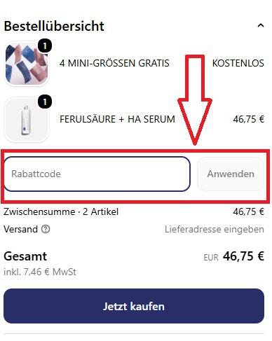 Screenshot vom Eingabefeld mit Hinweis darauf, wo du deinen Lelang Gutschein einlösen kanns