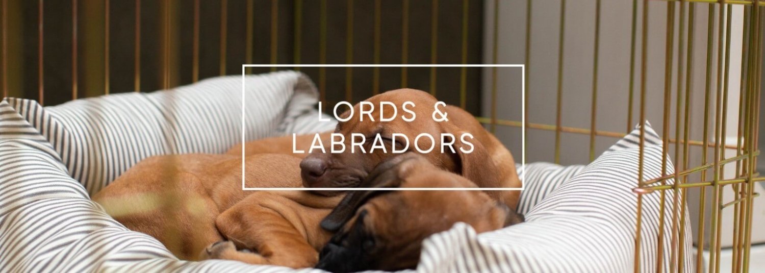 Lords & Labradors Discount Code 85 Off in October 2024