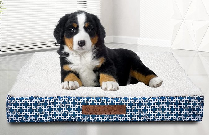 Dalton Chain Gate Small Orthopedic Pet Bed - Wags n Whiskers