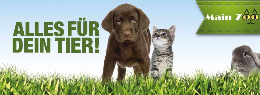 Hund, Katze und Hase auf Wiese mit dem Slogan „Alles für dein Tier“ als Banner für die Main Zoo Gutscheinseite