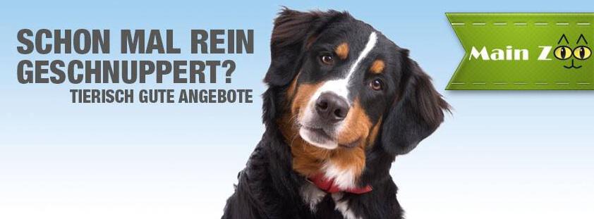 Hund vor weiß-blauem Grund mit Logo und Hinweis auf tierisch gute Angebote bei Main Zoo