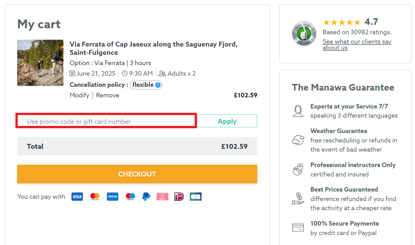 Manawa discount code box during booking process