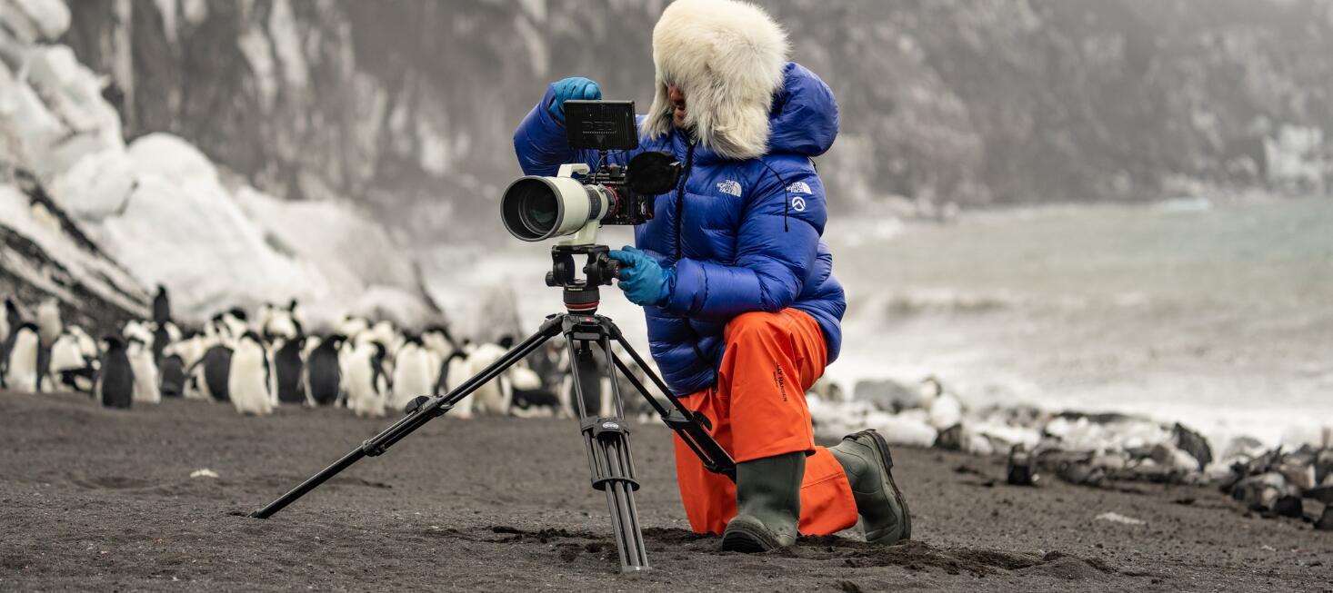 Manfrotto offers page banner showing a man in cold weather clothing setting up a camera in front of a crowd of penguins