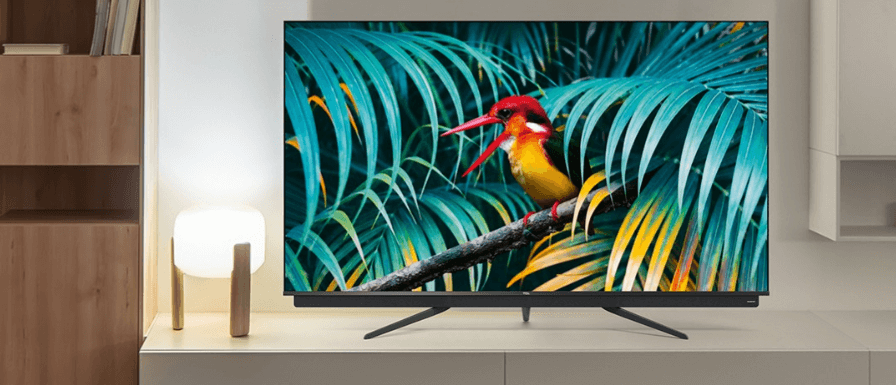 Martin Dawes savings guide image featuring a high-spec tv showing a picture of an exotic bird