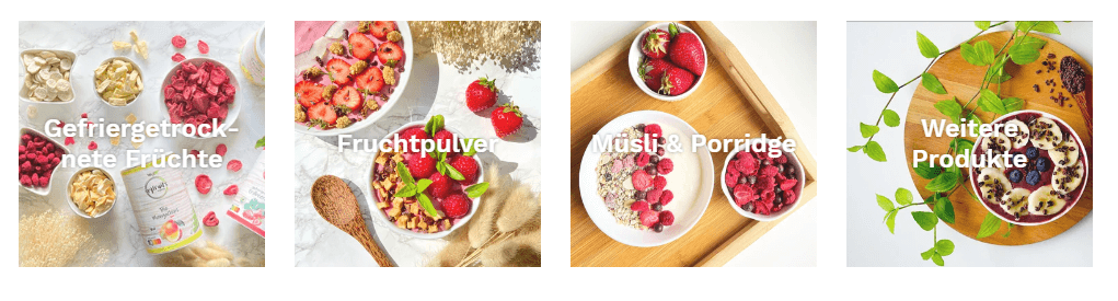 Übersichtsbanner für das myfruits-Angebot bestehend aus gefriergetrockneten Früchten, Fruchtpulver, Müsli & Porridge und weiteren Produkten