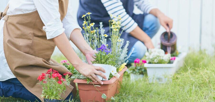 New Year Hobbies image featuring to people in a garden with potted plants. The person in the foreground is repotting, while the background person has a watering can, 901x430px