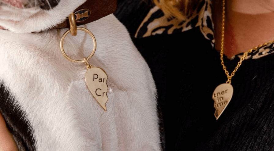 Matching necklace set for pet lovers from Not on the High Street gifts