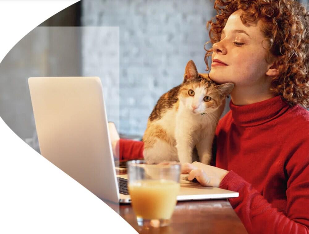 Eine Kundin nutzt Osnatel Wlan auf ihrem Laptop