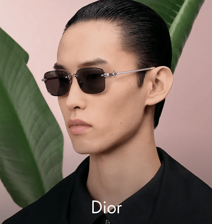 Dior sunglasses for men at Otticanet
