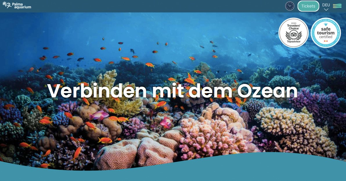 Im Palma Aquarium mit Gutschein sparen